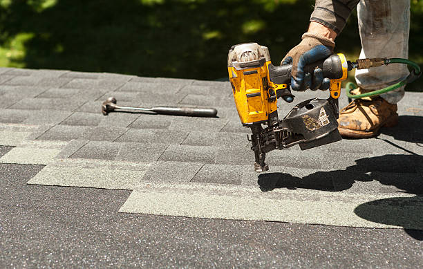 Best Storm Damage Roof Repair  in Noel, MO